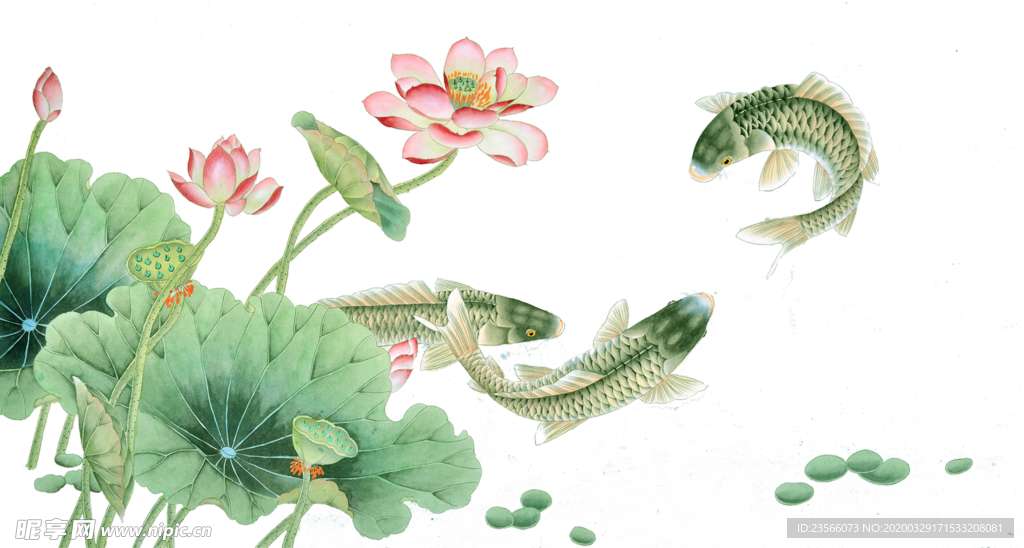 中国风荷叶荷花绘画