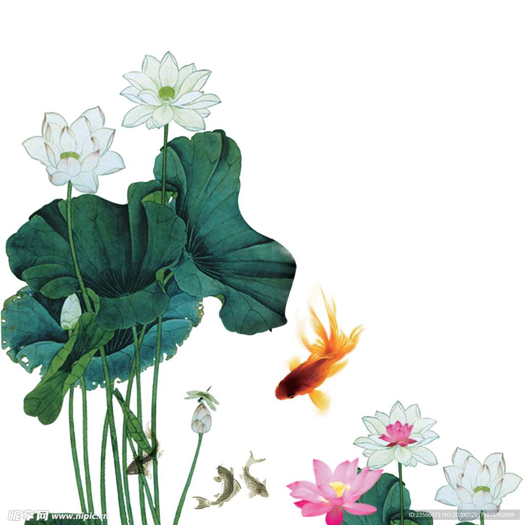 中国风荷叶荷花绘画