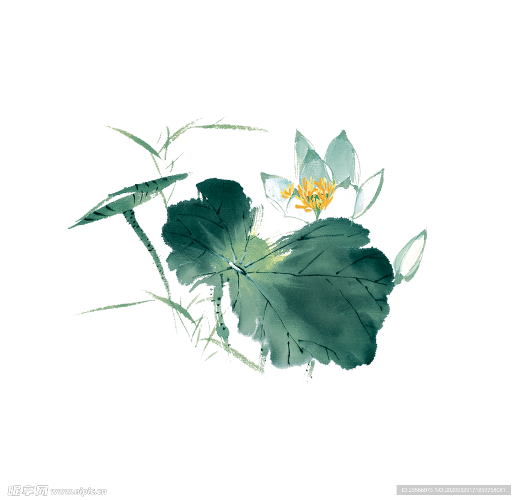 中国风荷叶荷花绘画