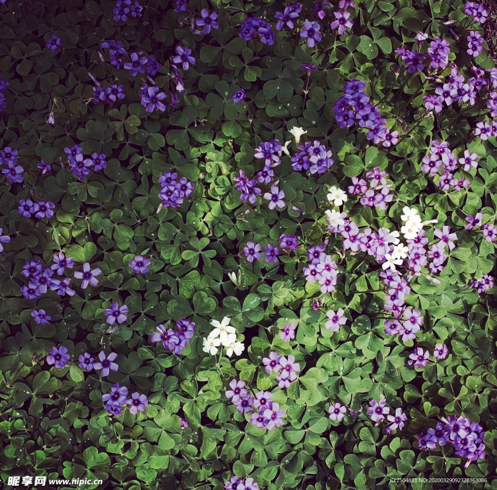 自然风景