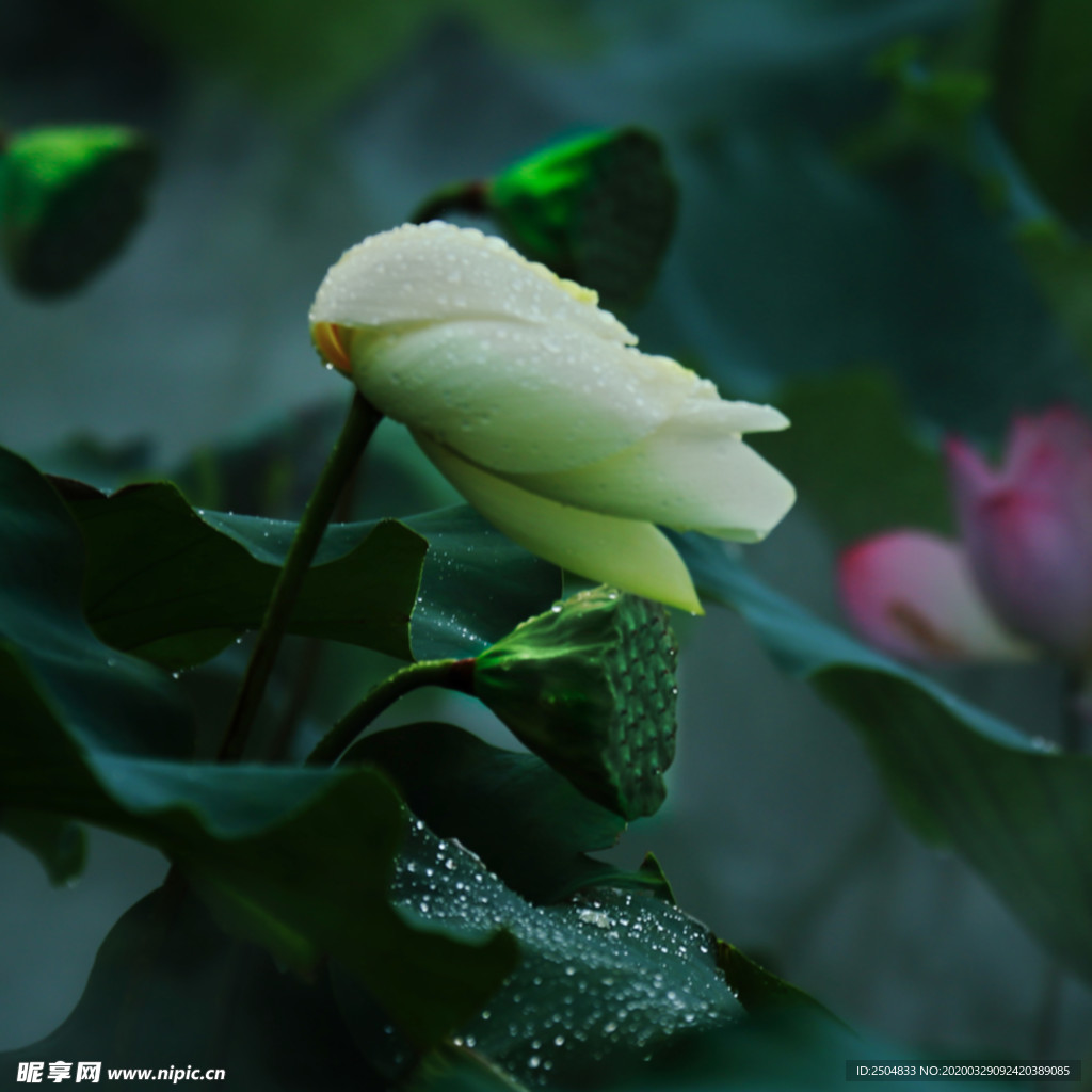 自然风景
