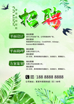 2020招聘海报