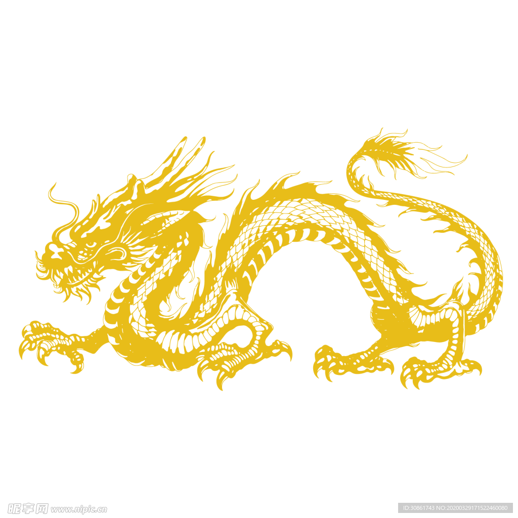 龙