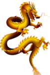 龙