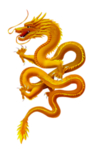 龙