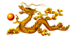 龙