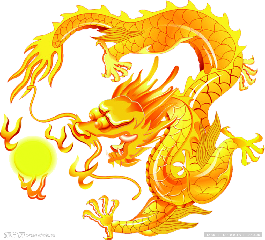 龙