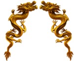龙