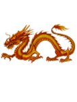 龙