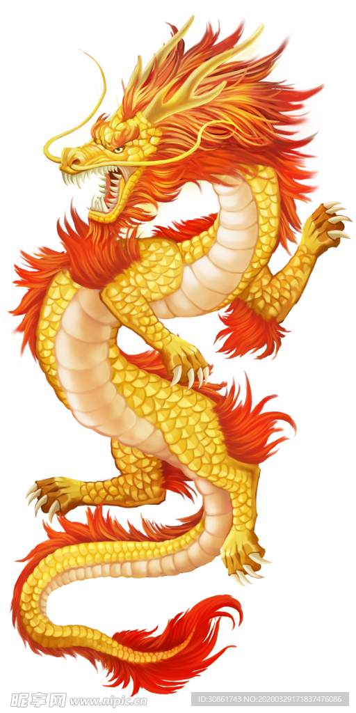 龙