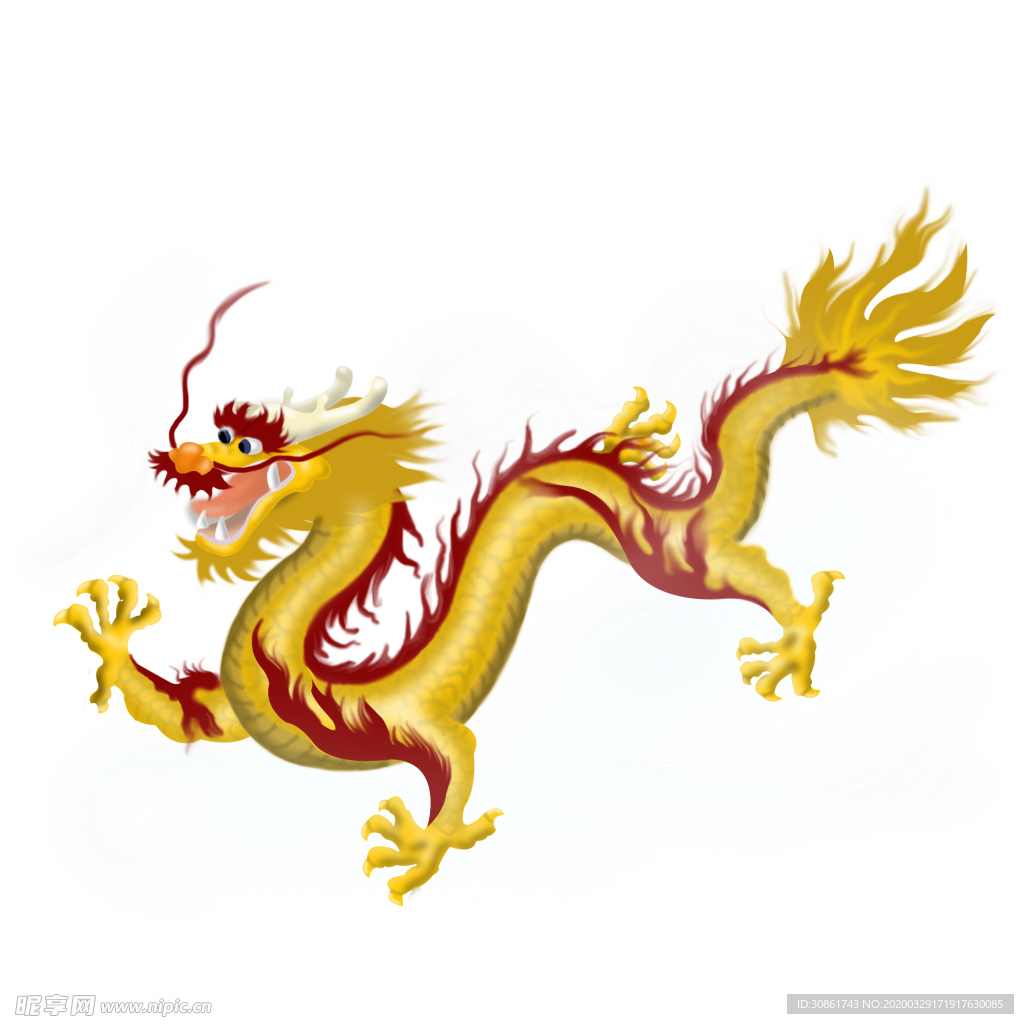 龙
