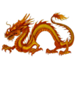 龙
