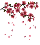 手绘桃花