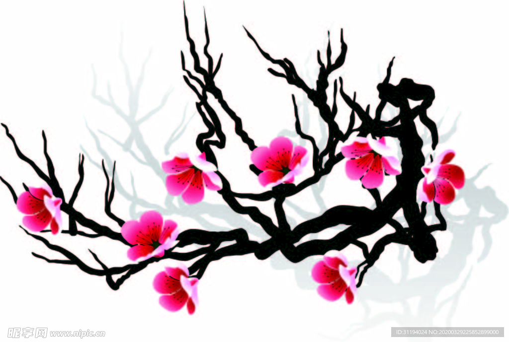 樱花