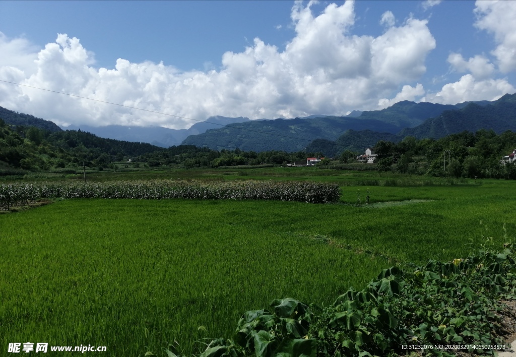 田园风景