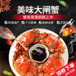 美味大闸蟹