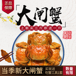 大闸蟹