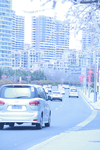 马路