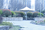 城市景观