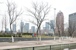 城市建筑