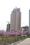 公园景观建筑