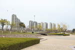 城市公园