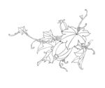 工笔花卉