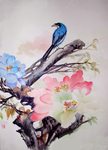 手绘树上画眉