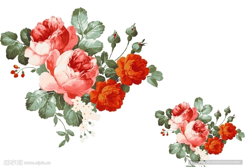 牡丹花