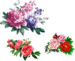 牡丹花