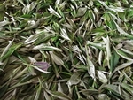 茶叶