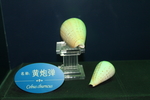 黄炮弹