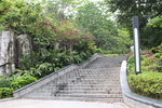 公园台阶