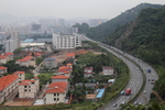 丛林小路