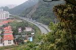 丛林小路