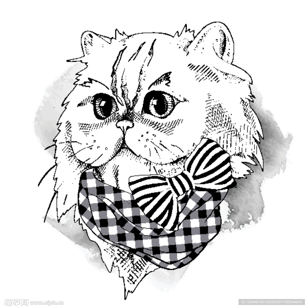 手绘卡通猫