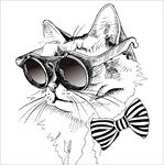 手绘卡通猫