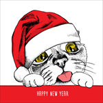 手绘卡通猫