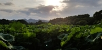 西湖公园