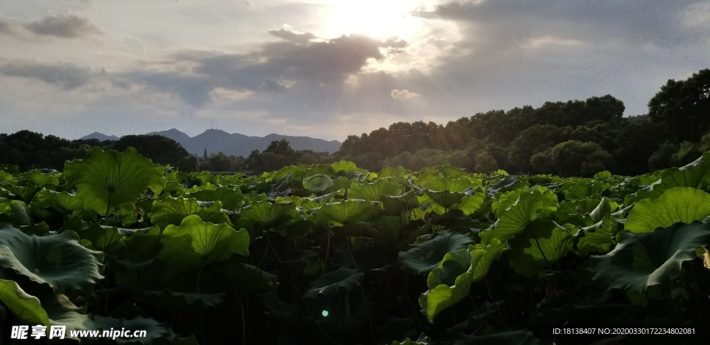 西湖公园