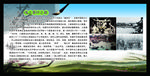 茶叶宣传栏