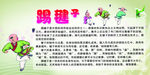 校园健康快乐运动毽子