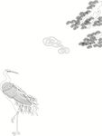 丹顶鹤