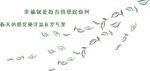 树叶