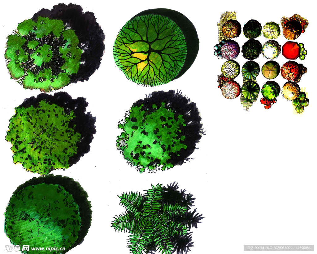 景观规划平面树彩图