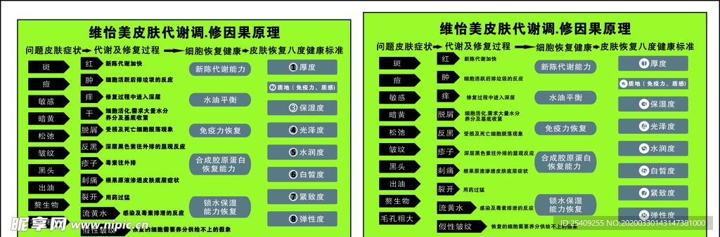 皮肤管理新城代谢过程