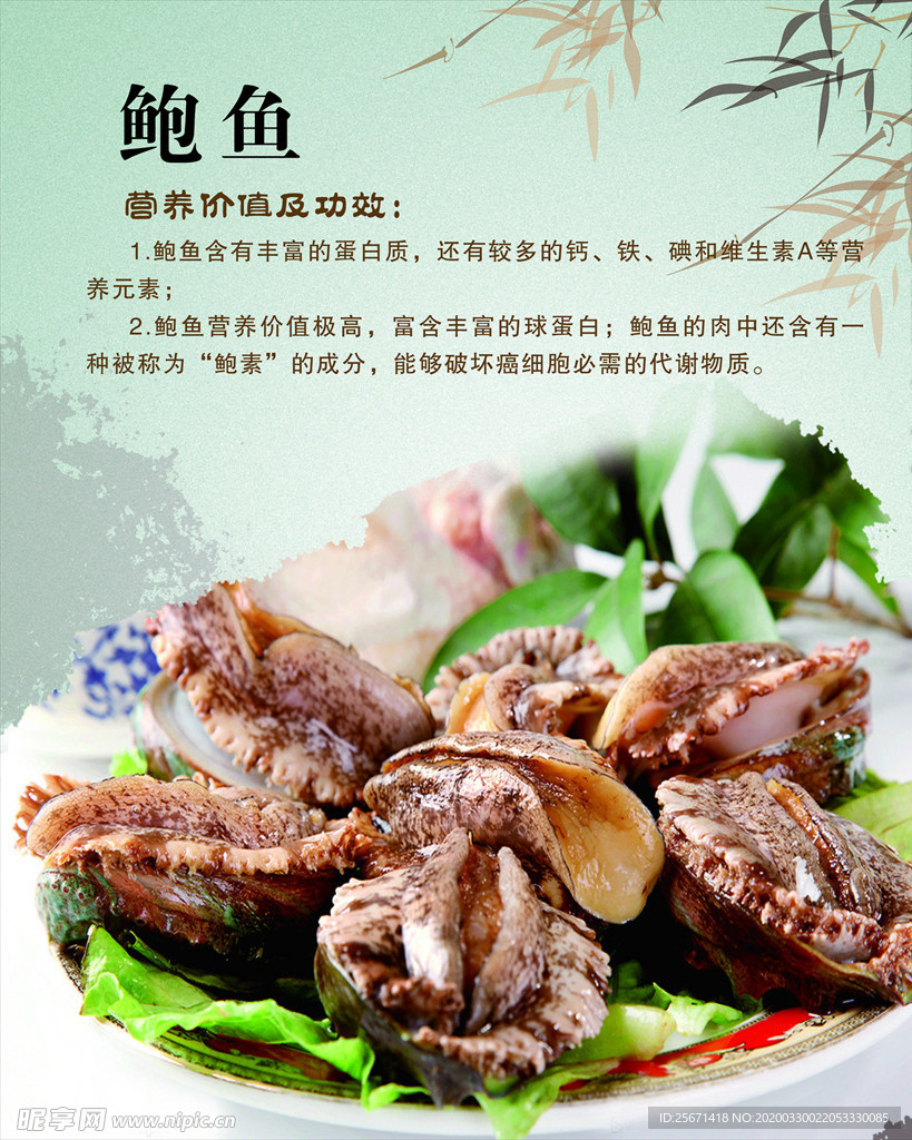 鲍鱼