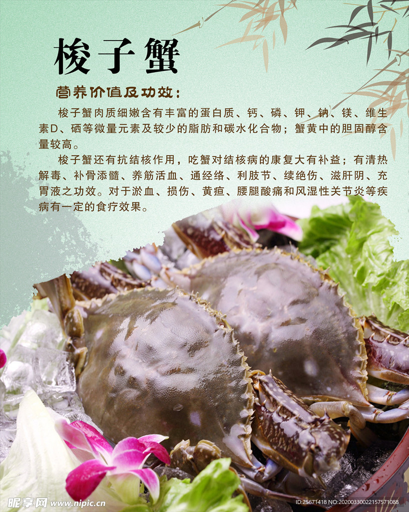 梭子蟹
