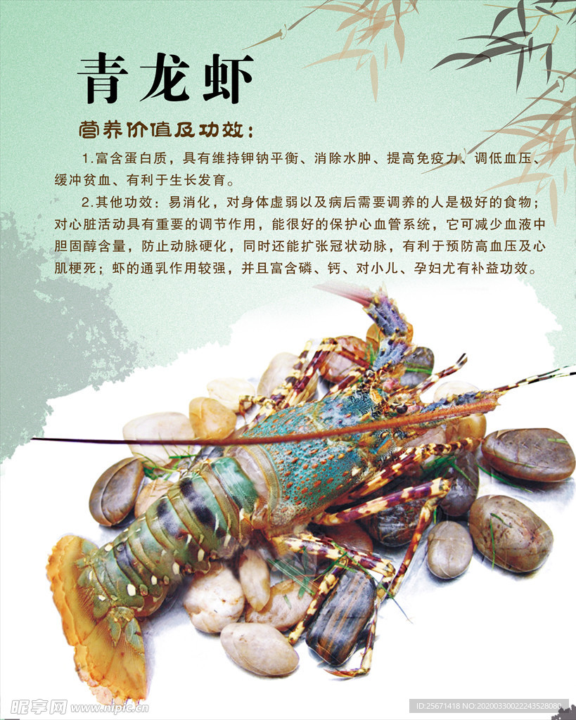 青龙虾