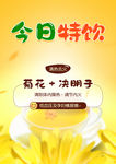 今日特饮  保健茶 菊花茶 决